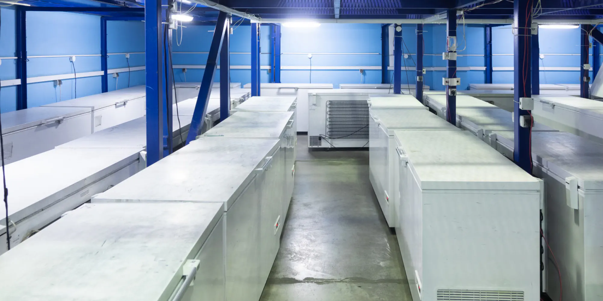 Custom Cold Chain & Distribution Management System Development